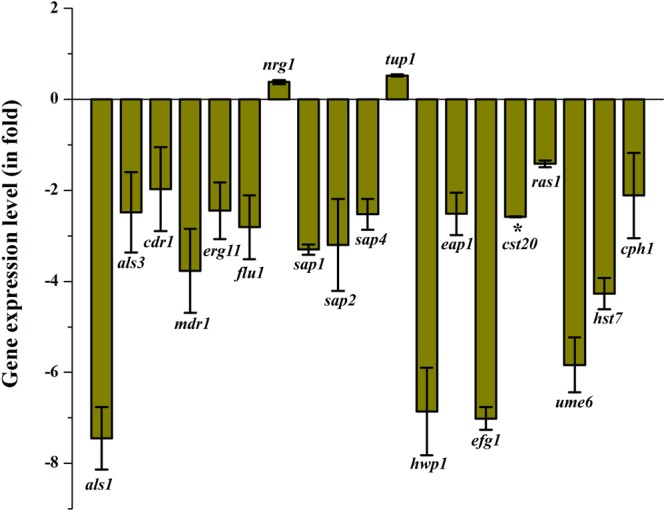 FIGURE 9