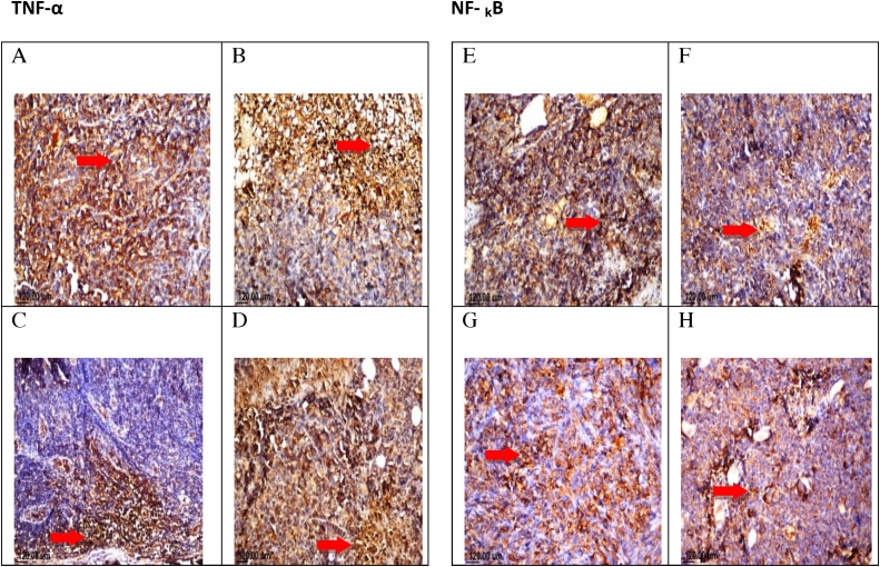 Fig. 11