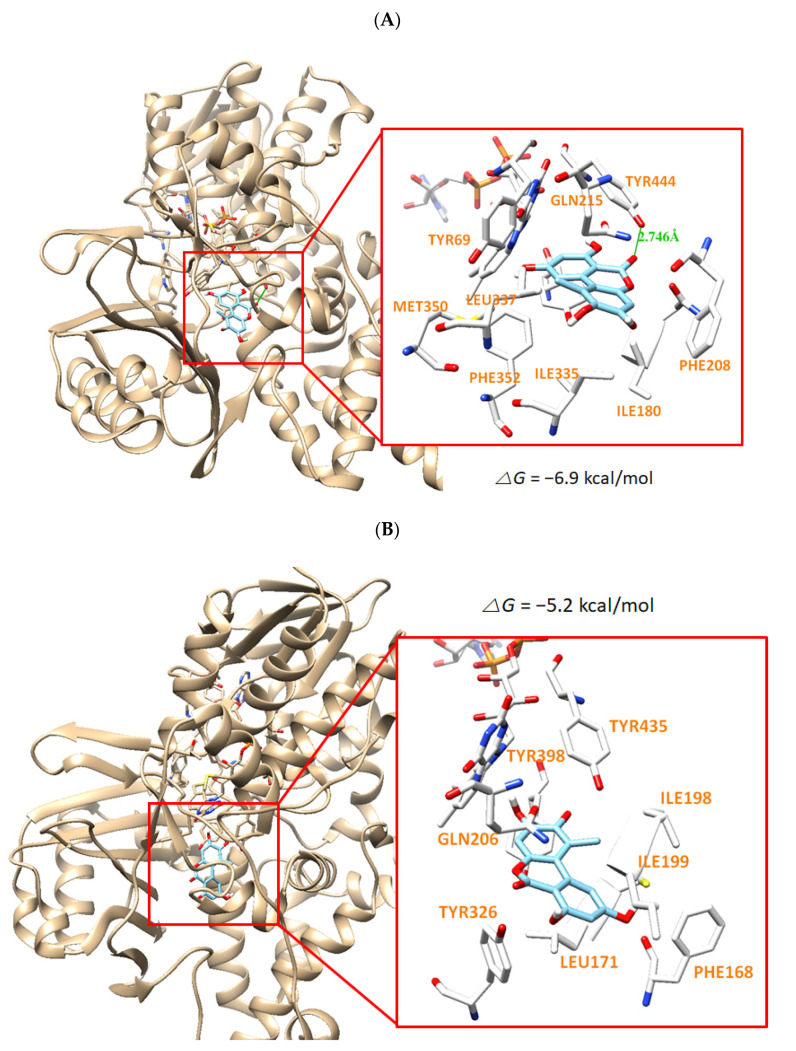 Figure 6