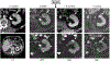 Fig. 3 –