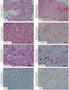 Fig. 4 –