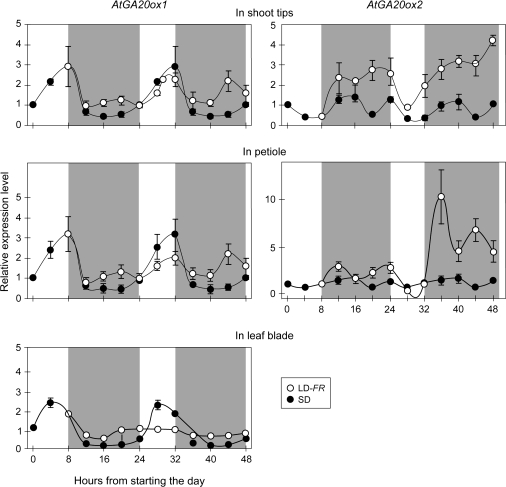 Fig. 6.