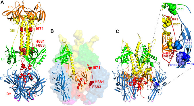 FIG 1