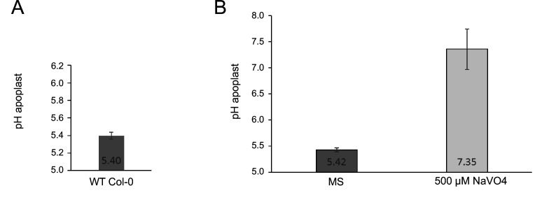 Appendix 1—figure 1.