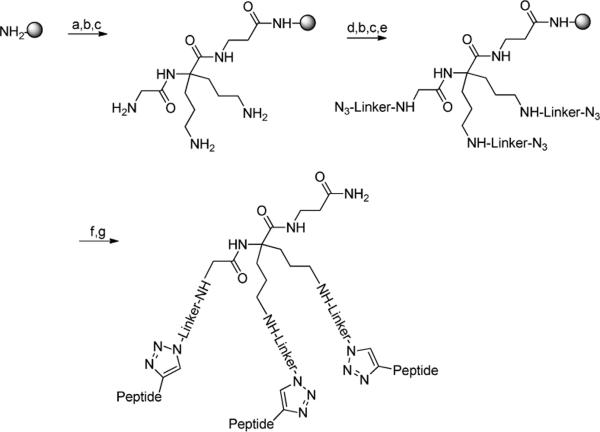 Scheme 2