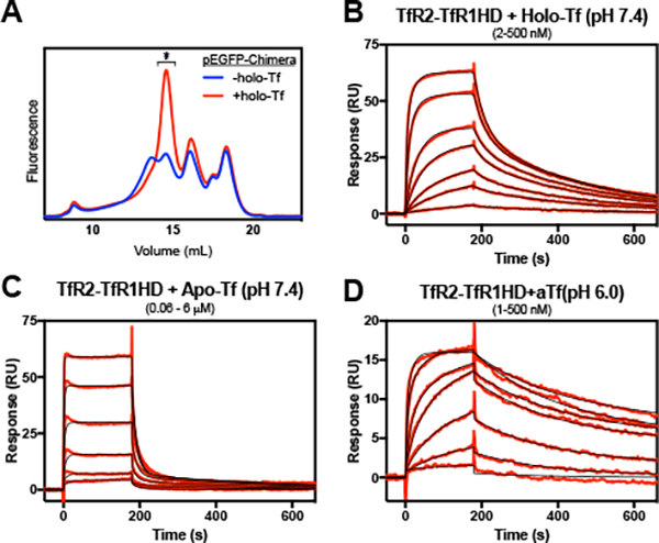 Figure 2.