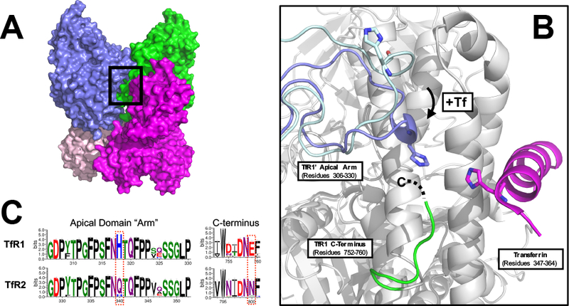 Figure 3.