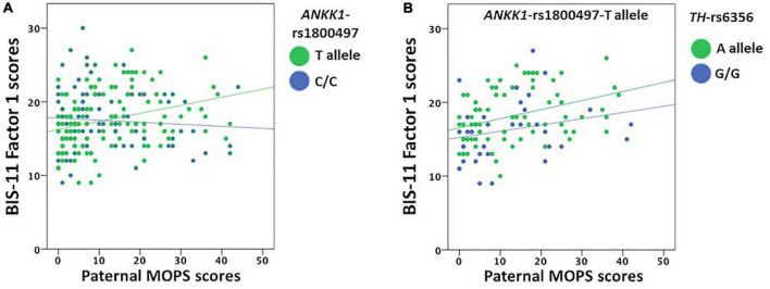 FIGURE 3