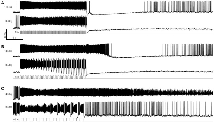 Figure 5