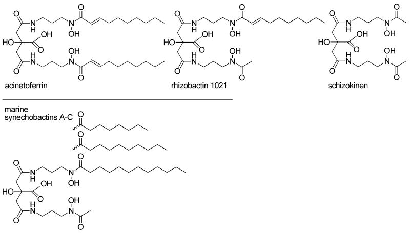 Figure 21