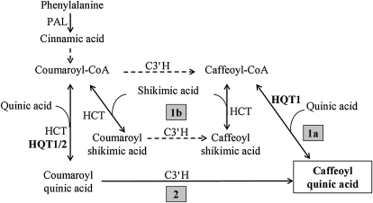 Figure 7.