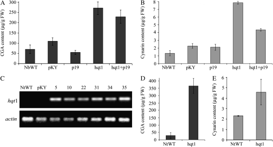 Figure 6.