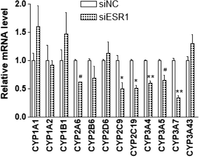 Fig. 9.