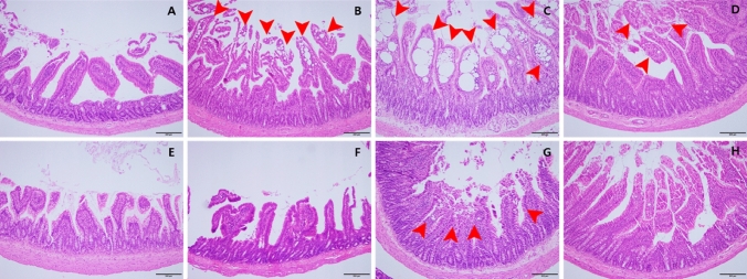 Fig. 5