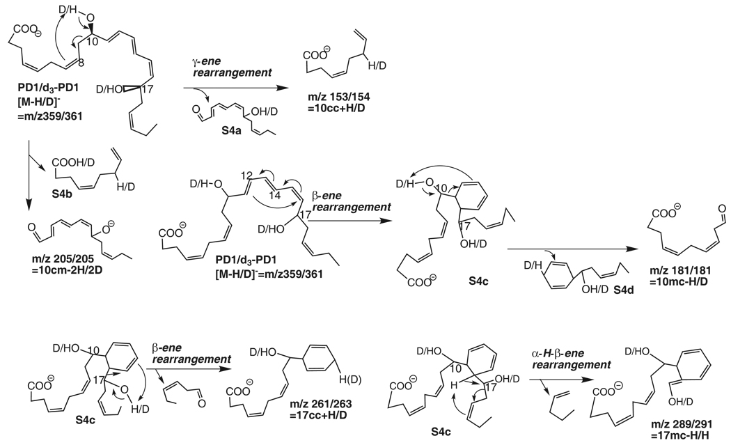 Scheme 4