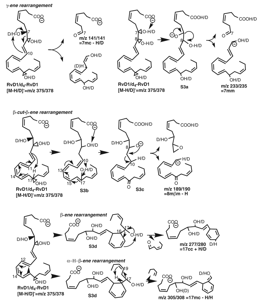 Scheme 3