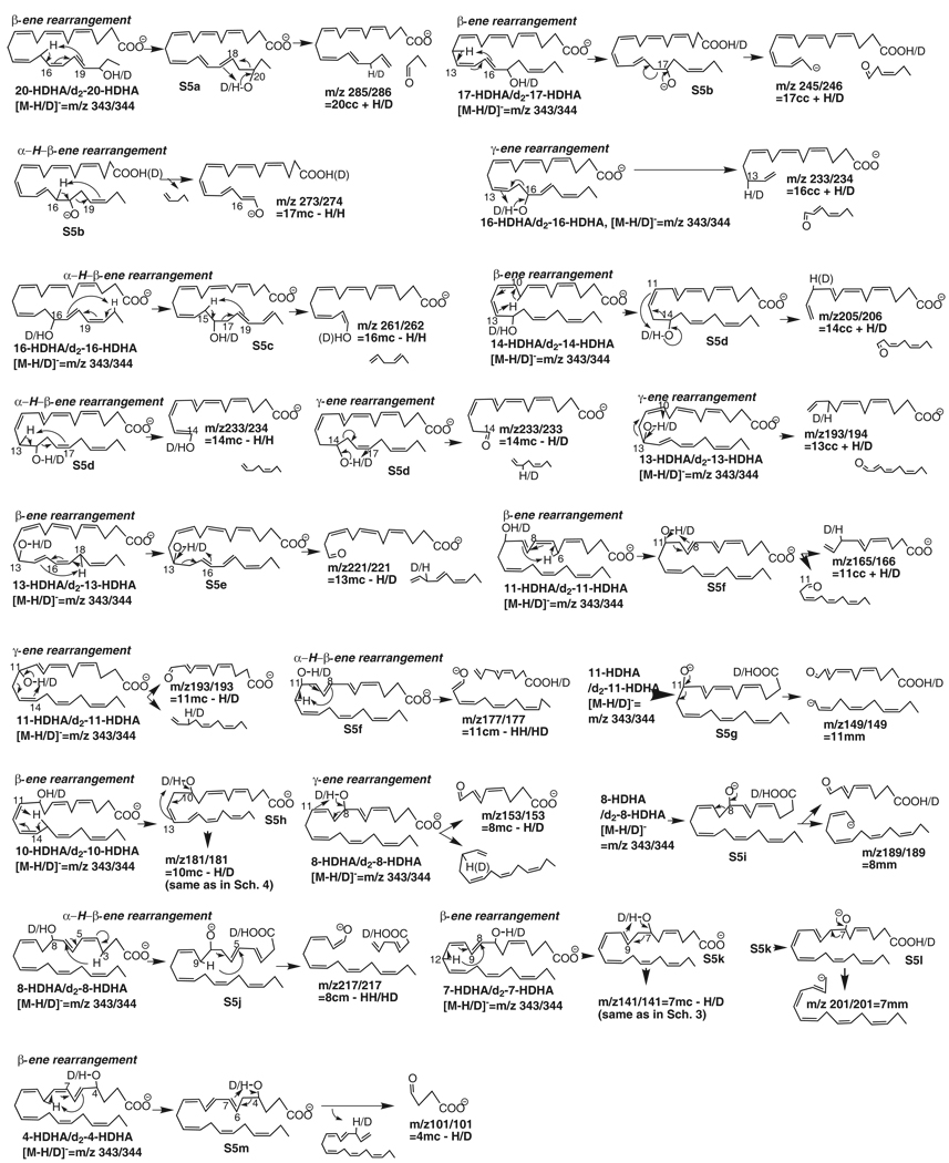 Scheme 5