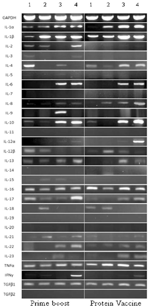 Fig. 9