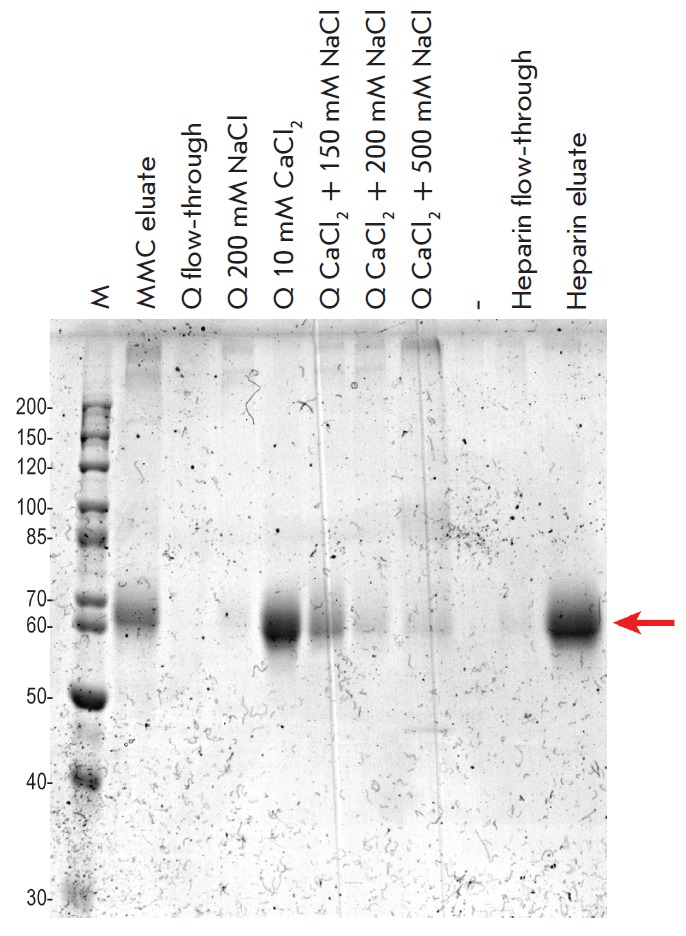 Fig. 5