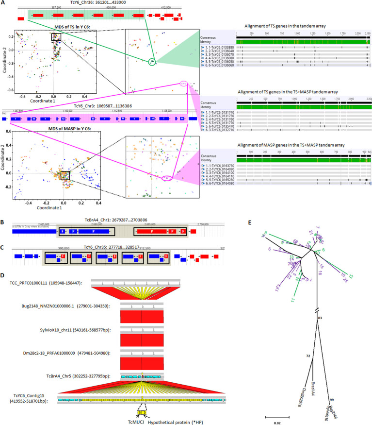 Fig 4