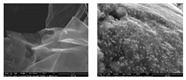 graphic file with name nanomaterials-11-02374-i001.jpg