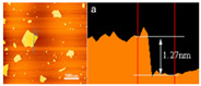 graphic file with name nanomaterials-11-02374-i004.jpg