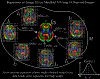 Fig. 3: