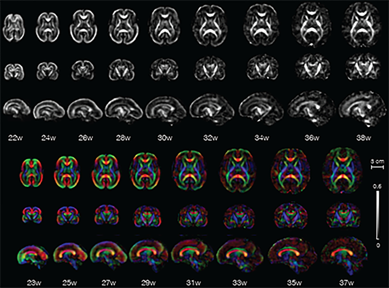 Fig. 6: