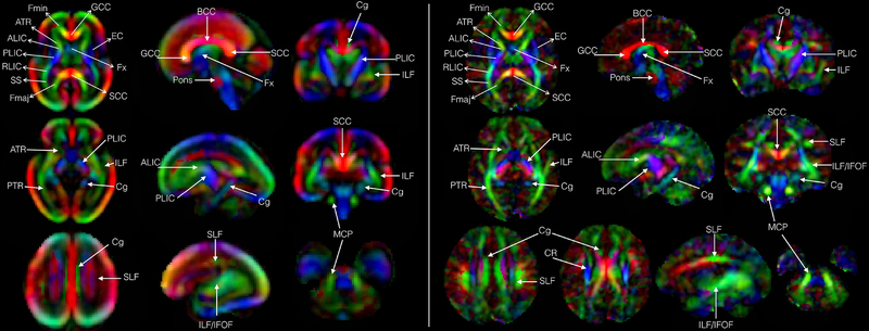 Fig. 7: