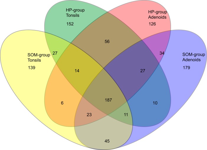 FIG 2