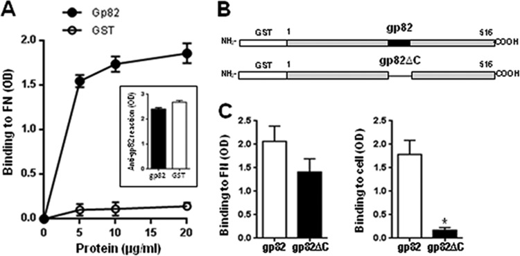 FIG 2