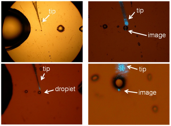 Figure 10