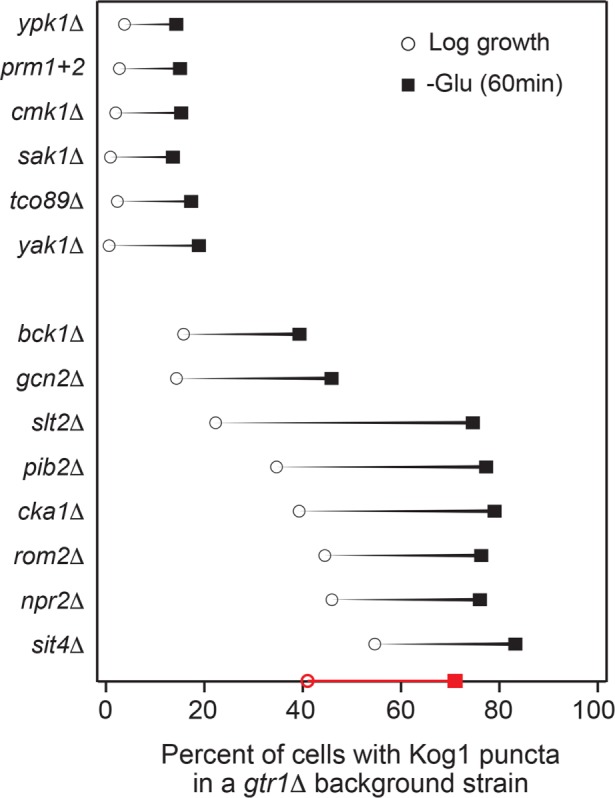 FIGURE 4: