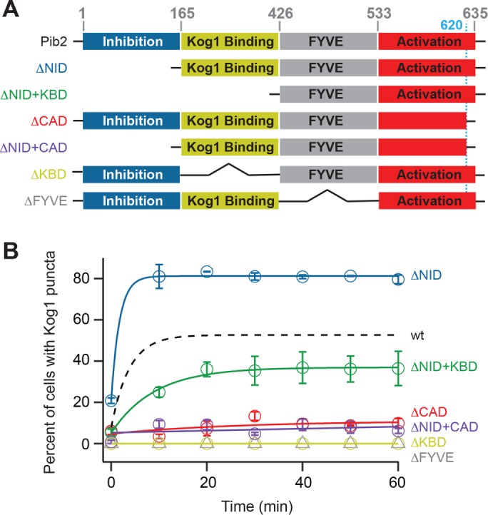 FIGURE 5: