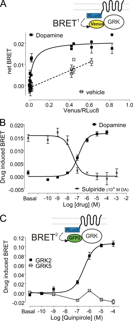 FIGURE 11.