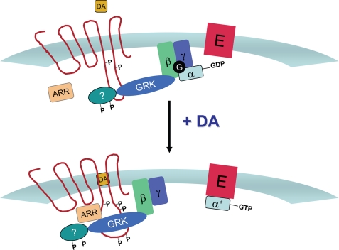 FIGURE 13.