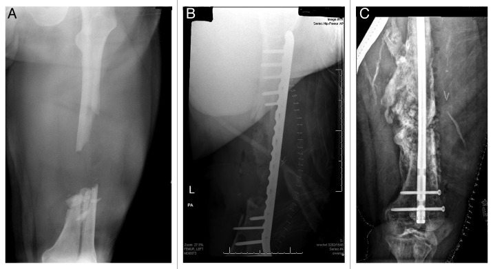 Figure 4:
