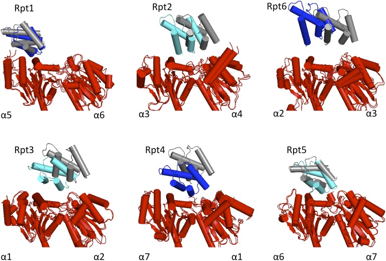 Fig. 3.