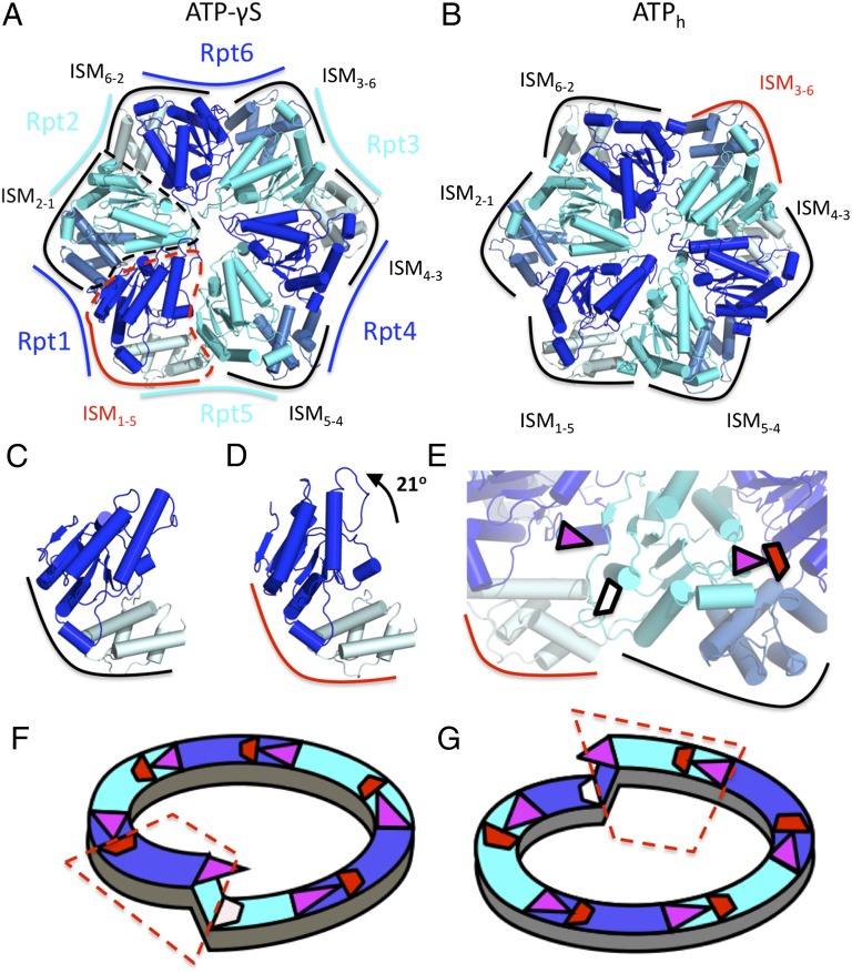 Fig. 2.