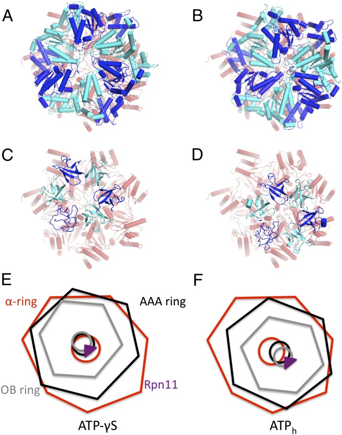 Fig. 4.