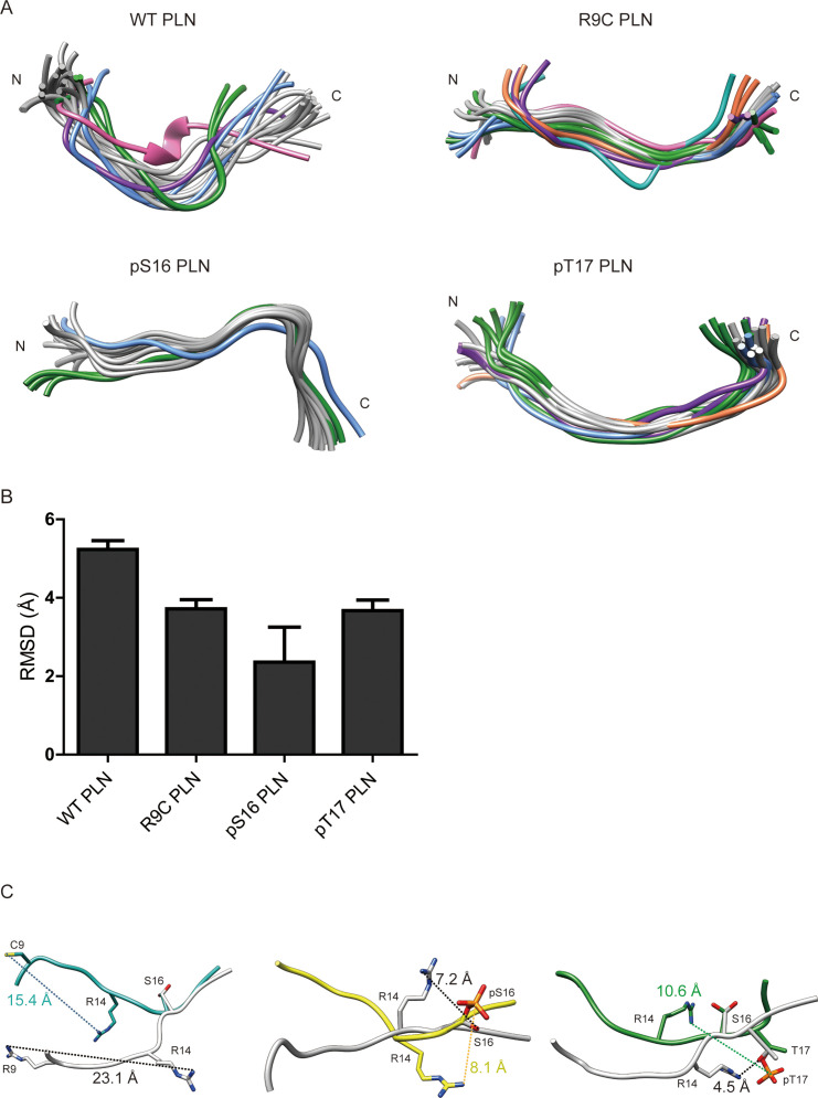 Figure 1—figure supplement 2.