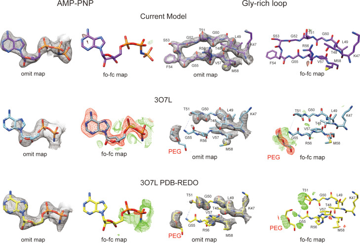 Figure 4—figure supplement 1.