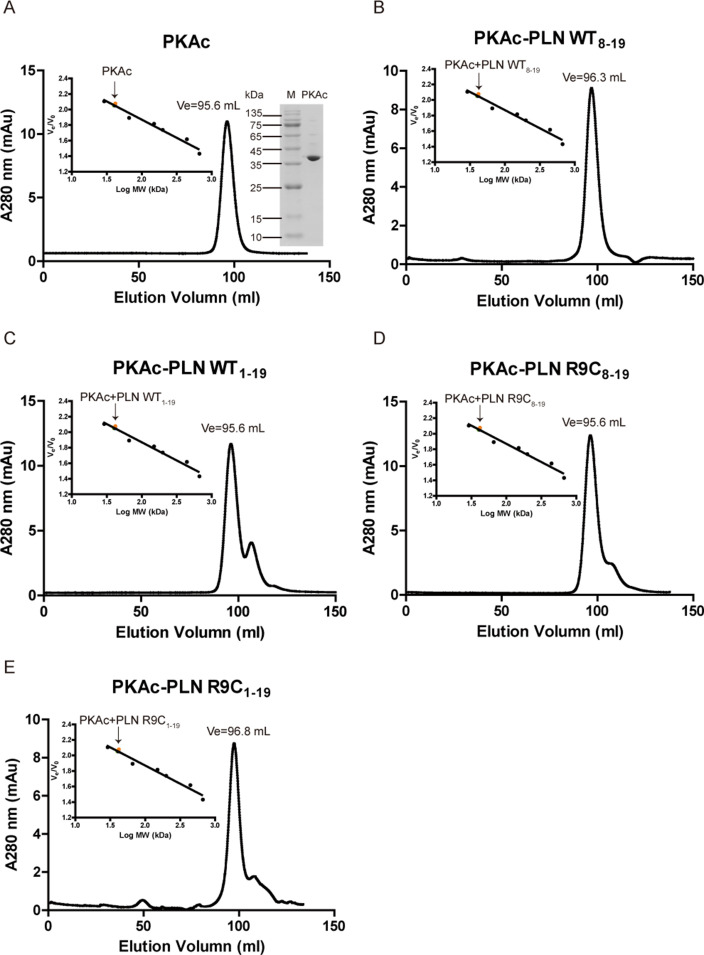 Figure 4—figure supplement 3.