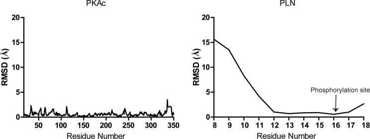 Figure 4—figure supplement 2.