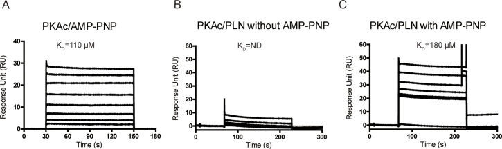 Figure 2—figure supplement 1.