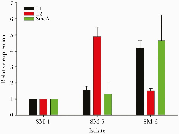 Figure 3.