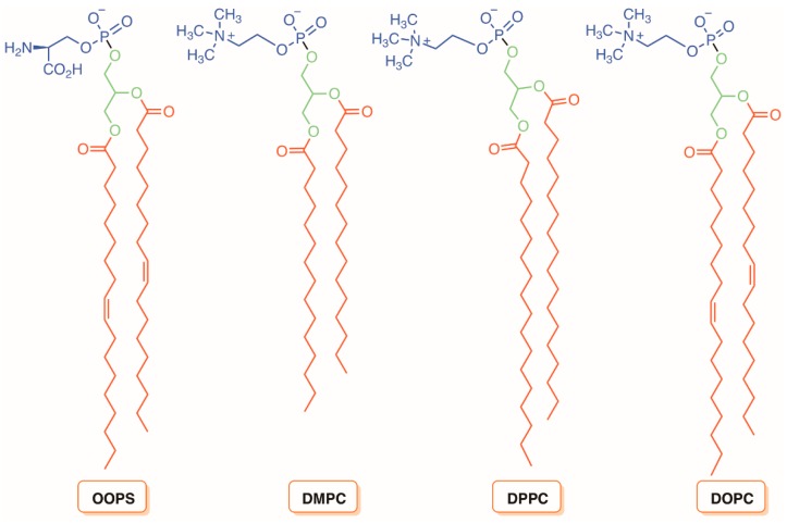 Figure 31