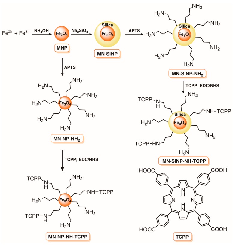 Figure 11