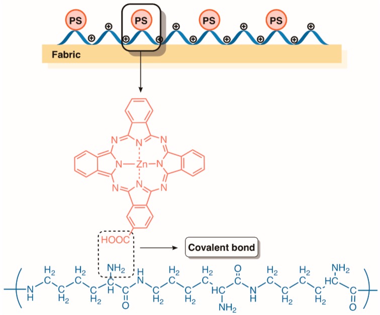 Figure 28