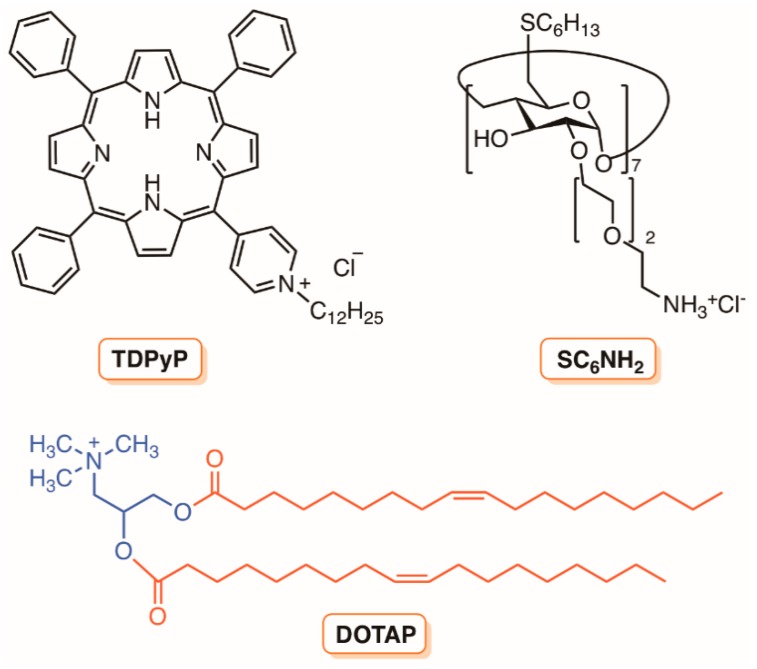 Figure 32